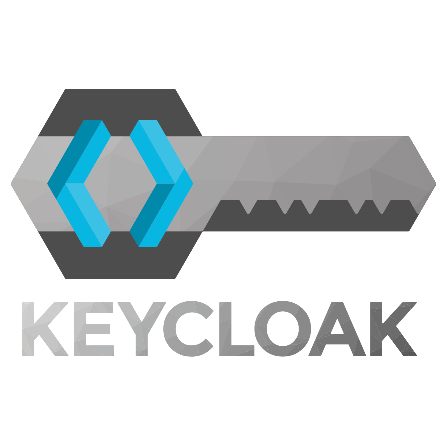 Install and Startup Keycloak